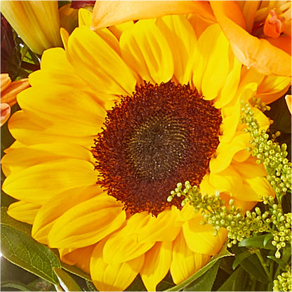 Seasons Change Bouquet – YOLE'S FLOWERS, New Orleans LA
