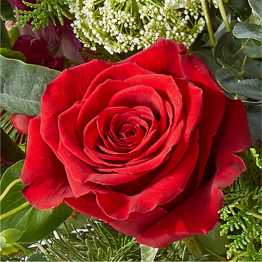 Cranberry Fizz Bouquet – YOLE'S FLOWERS, New Orleans LA