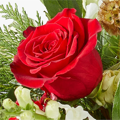 Deck the Halls Bouquet – YOLE'S FLOWERS, New Orleans LA