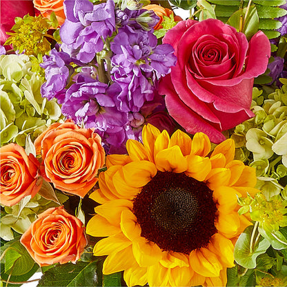 Vibrant Greetings Bouquet – YOLE'S FLOWERS, New Orleans LA