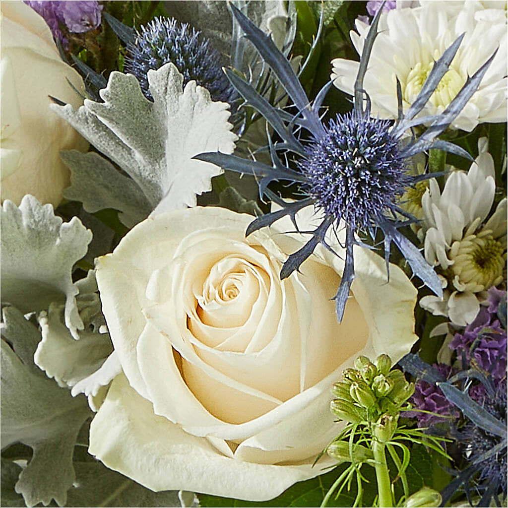 Shooting Star Bouquet – YOLE'S FLOWERS, New Orleans LA
