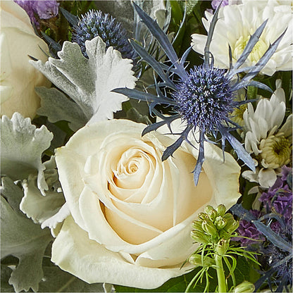 Shooting Star Bouquet – YOLE'S FLOWERS, New Orleans LA