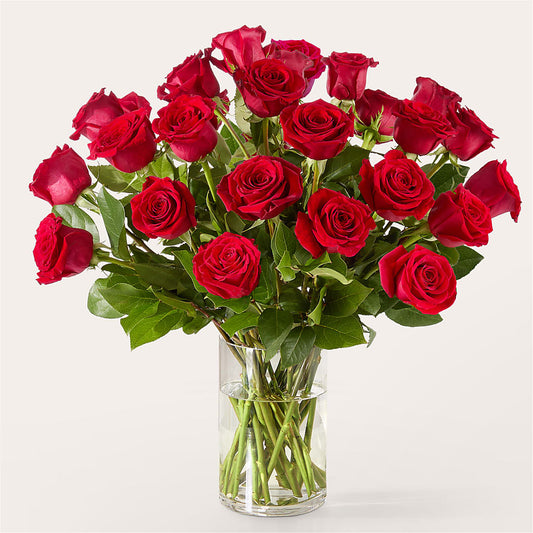 The One Red Rose Bouquet – YOLE'S FLOWERS, New Orleans LA