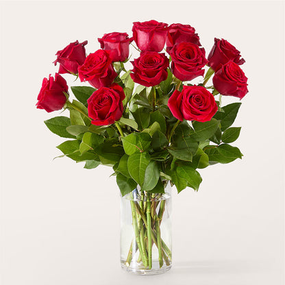 The One Red Rose Bouquet – YOLE'S FLOWERS, New Orleans LA