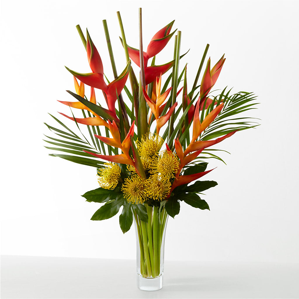 The Drama – YOLE'S FLOWERS, New Orleans LA