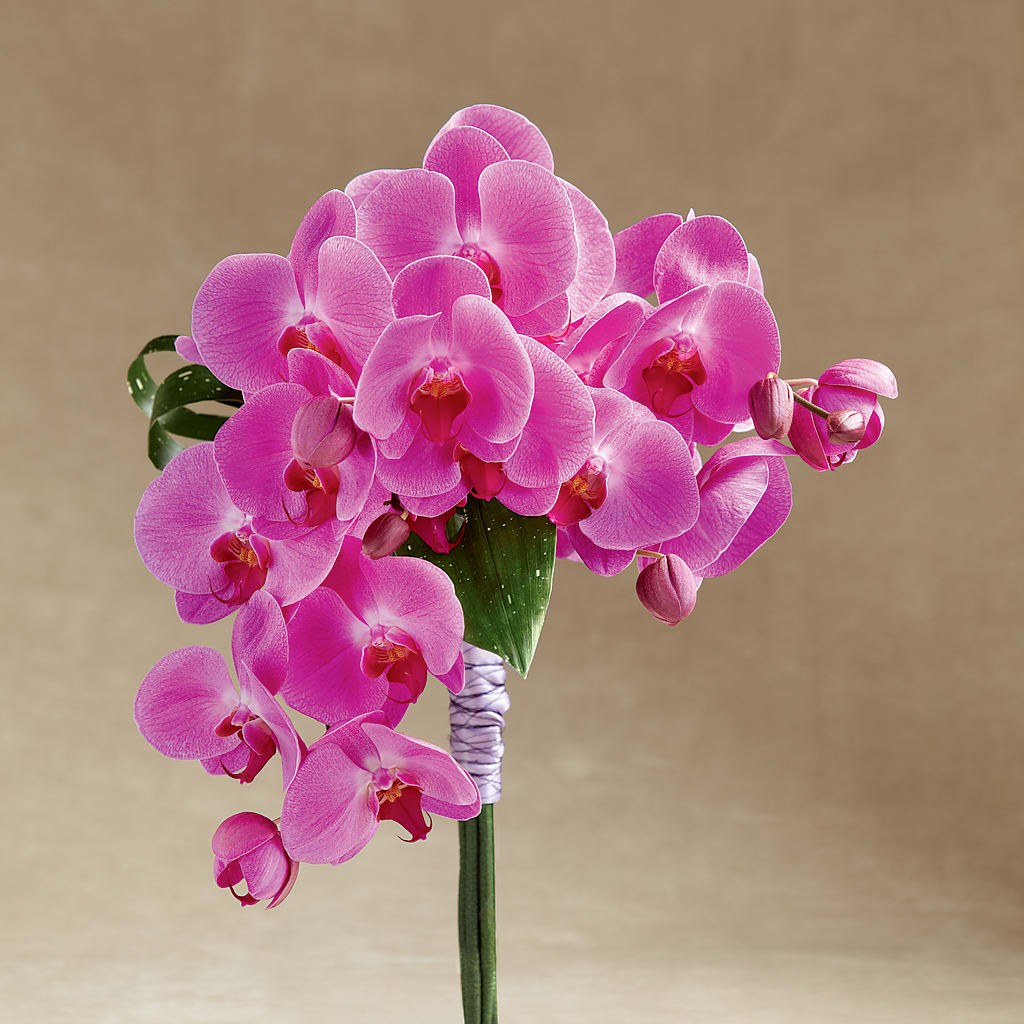 Glorious Bouquet – YOLE'S FLOWERS, New Orleans LA
