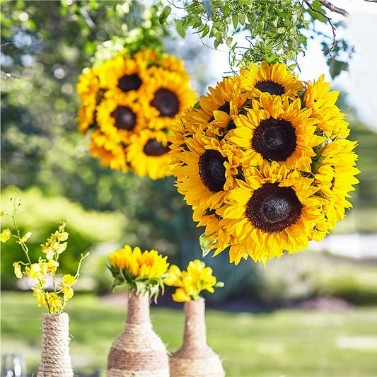 Sublime Garden Hanging Arrangement – YOLE'S FLOWERS, New Orleans LA