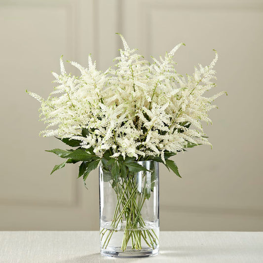 White Astilbe Bouquet – YOLE'S FLOWERS, New Orleans LA