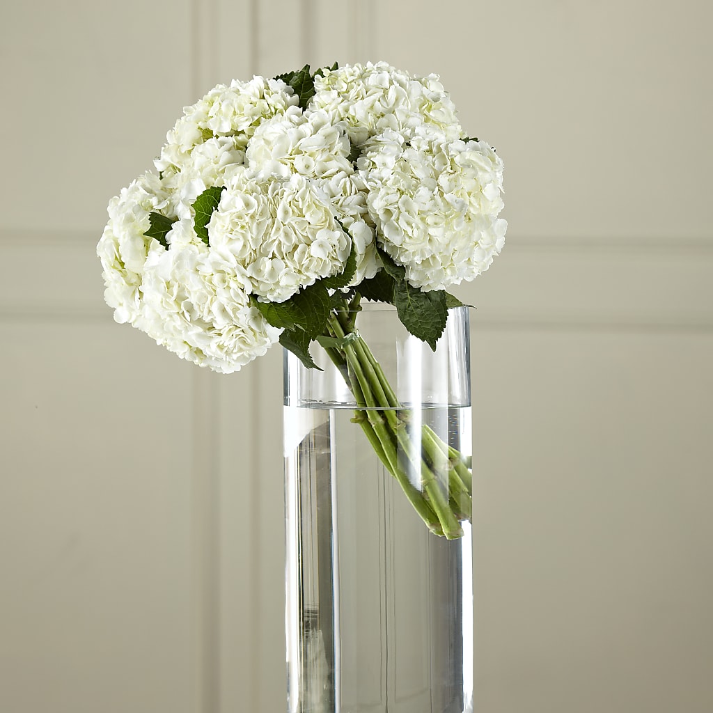 White Hydrangea Hand-Tied Bouquet – YOLE'S FLOWERS, New Orleans LA