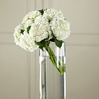 White Hydrangea Hand-Tied Bouquet – YOLE'S FLOWERS, New Orleans LA