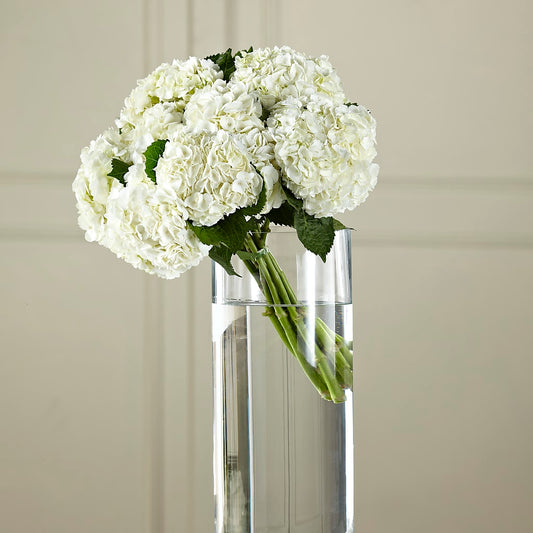White Hydrangea Hand-Tied Bouquet – YOLE'S FLOWERS, New Orleans LA