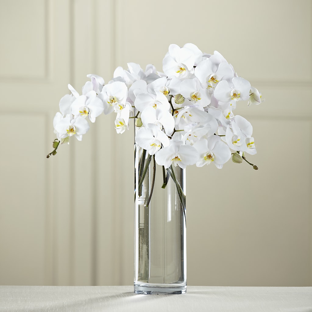 White Phalaenopsis Bouquet – YOLE'S FLOWERS, New Orleans LA
