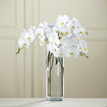 White Phalaenopsis Bouquet – YOLE'S FLOWERS, New Orleans LA