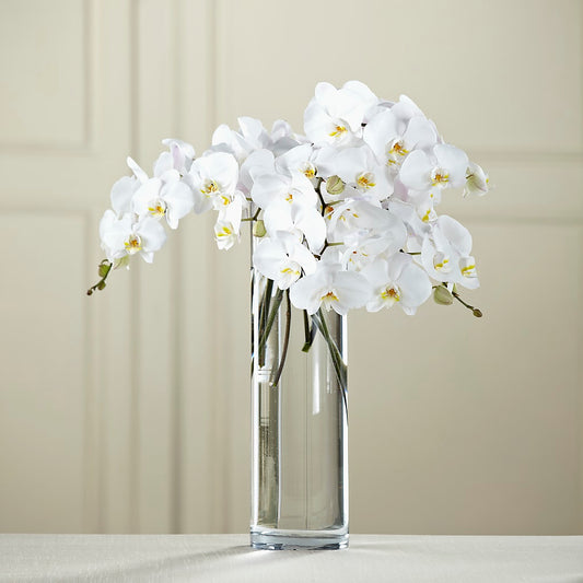 White Phalaenopsis Bouquet – YOLE'S FLOWERS, New Orleans LA