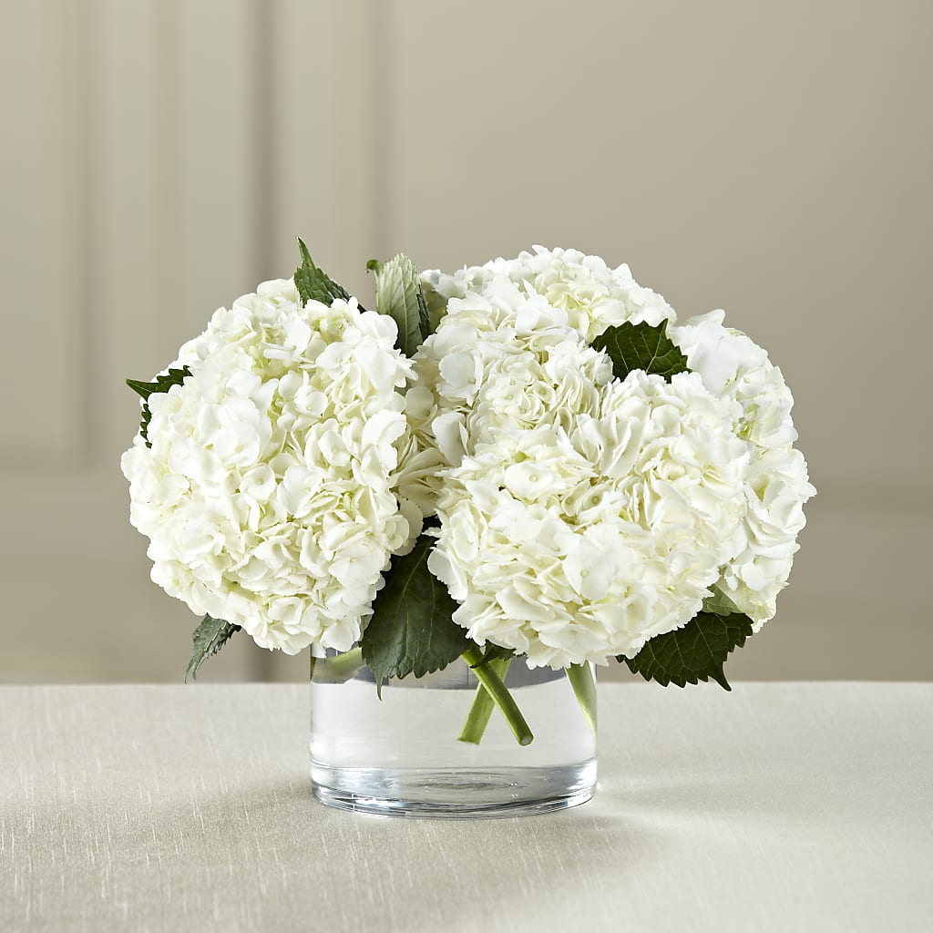 White Hydrangea Bouquet – YOLE'S FLOWERS, New Orleans LA