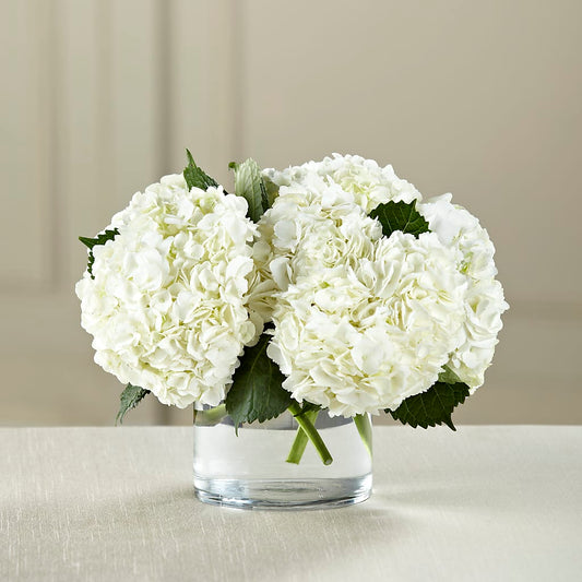 White Hydrangea Bouquet – YOLE'S FLOWERS, New Orleans LA