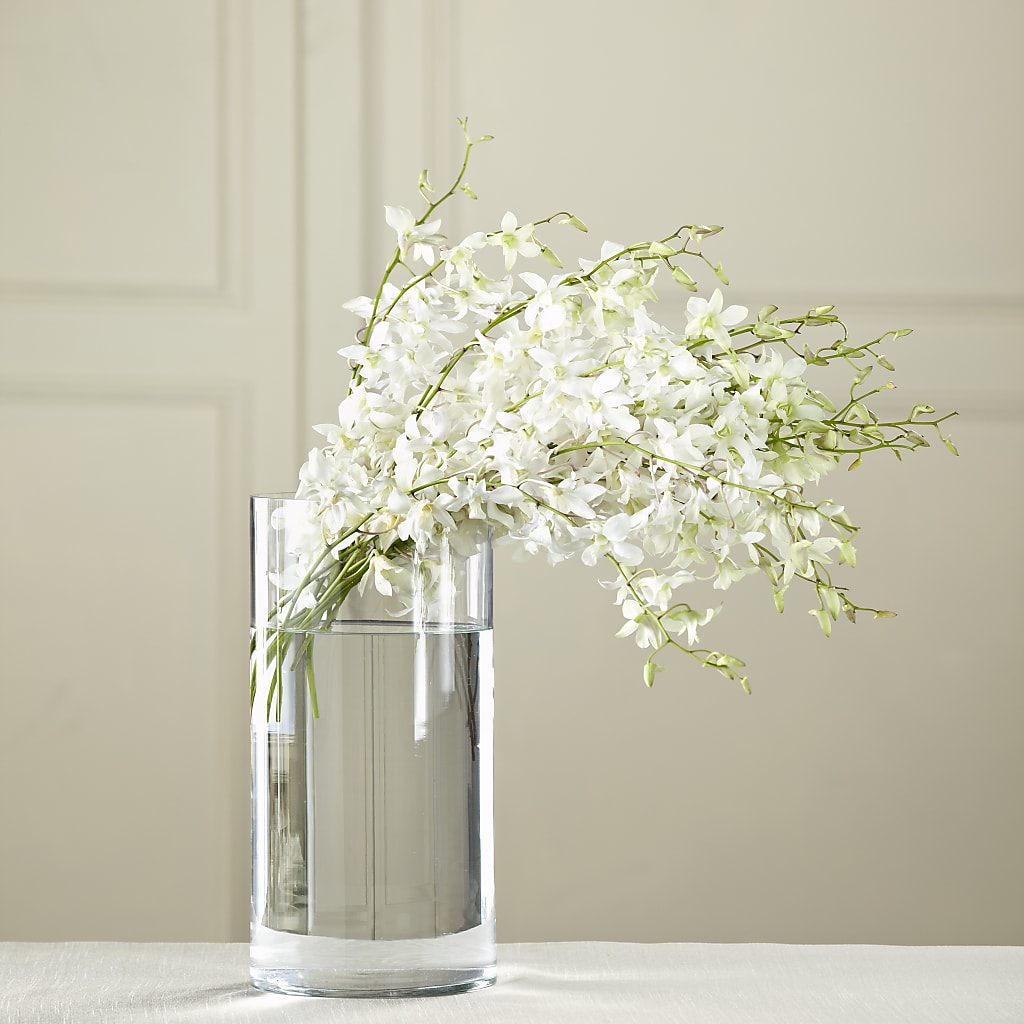 White Dendrobium Bouquet – YOLE'S FLOWERS, New Orleans LA