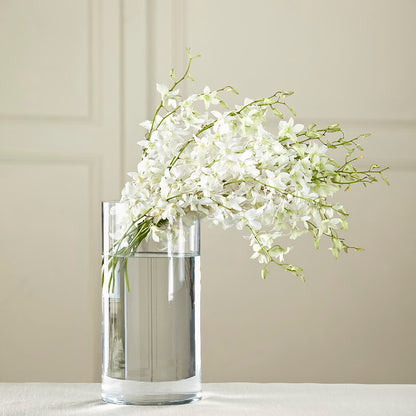 White Dendrobium Bouquet – YOLE'S FLOWERS, New Orleans LA