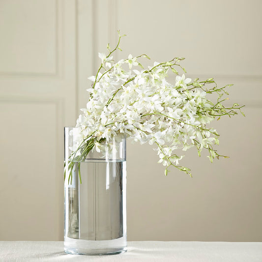 White Dendrobium Bouquet – YOLE'S FLOWERS, New Orleans LA