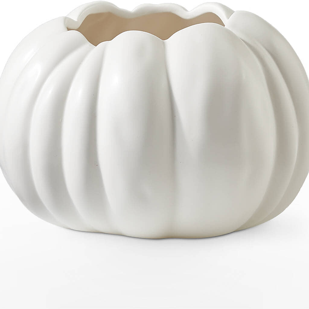 Pumpkin to Talk About Bouquet – YOLE'S FLOWERS, New Orleans LA